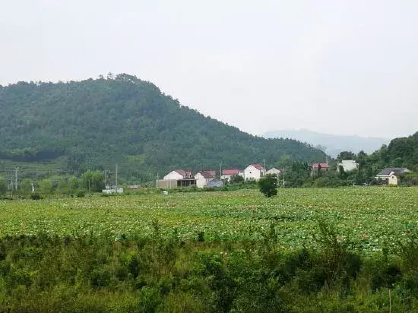 Chaji Shui'an Home Inn