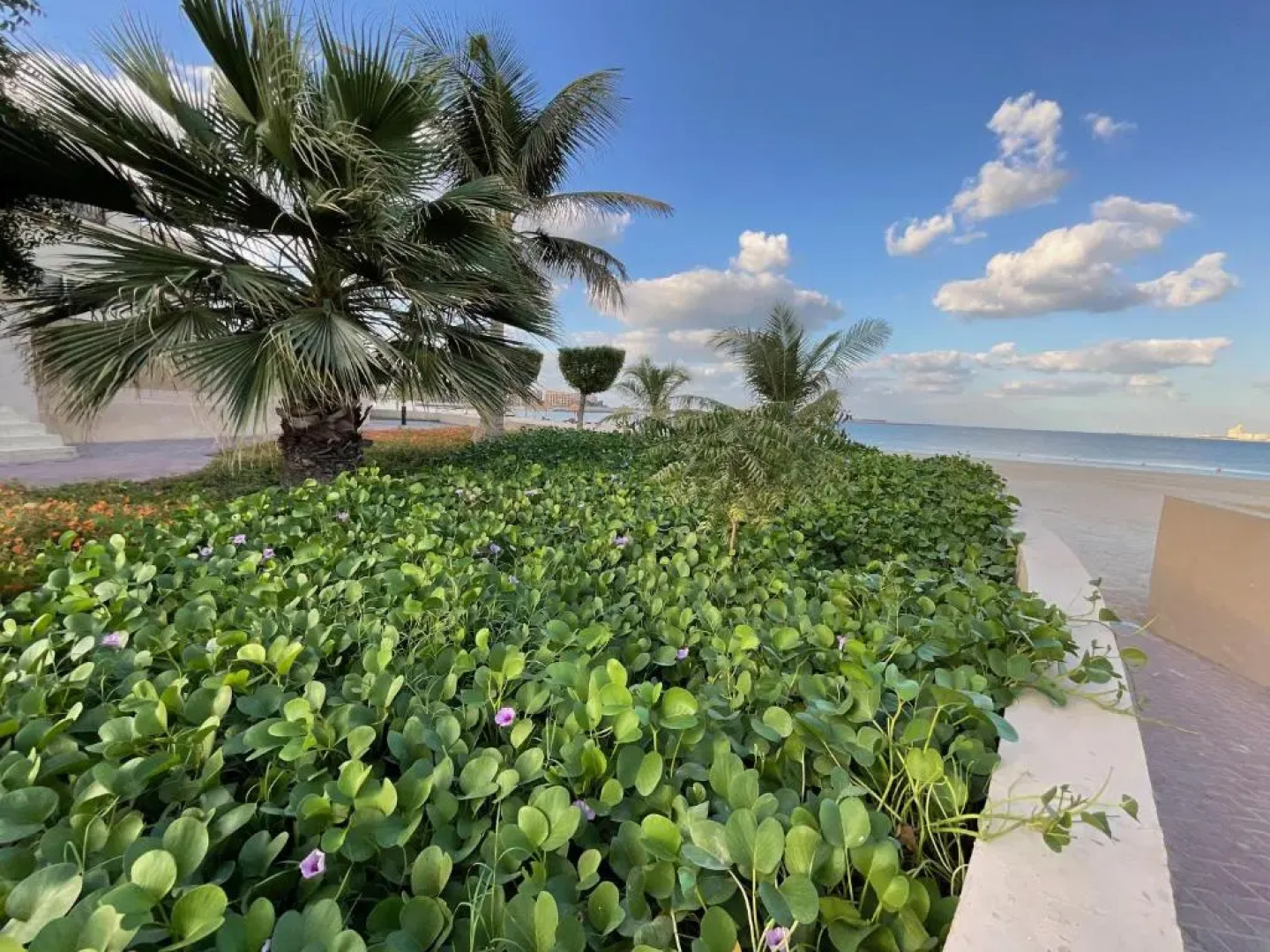 Lovely 1 bedroom holiday home on the beach