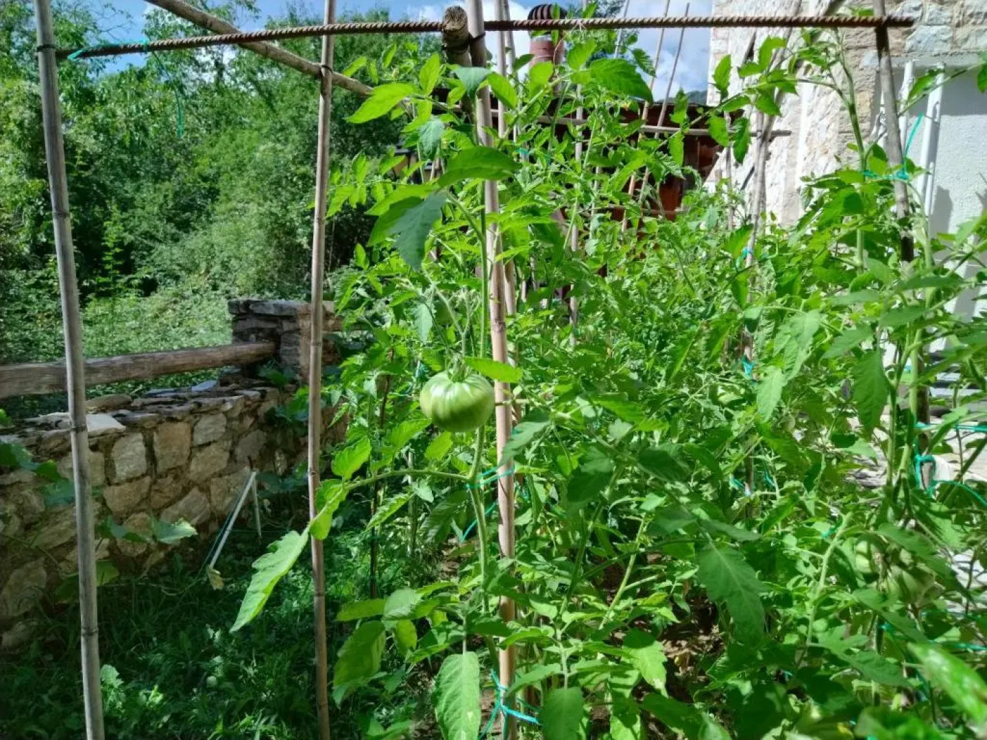 Alseides Boutique Hotel