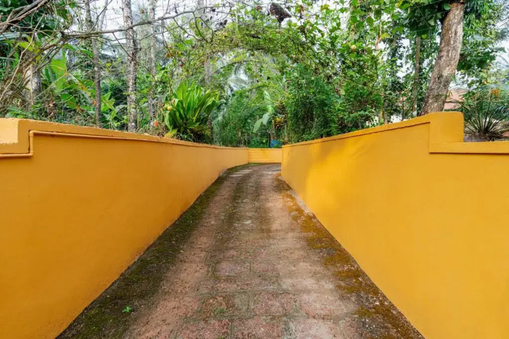 SaffronStays Amaya, Kannur - 300 Years Old Heritage Estate for Families and Large Groups