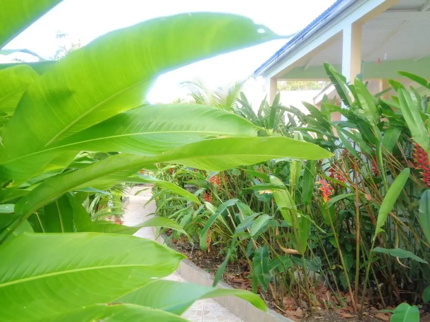 Apartment With 2 Bedrooms In Port Louis With Enclosed Garden And Wifi 3 Km From The Beach