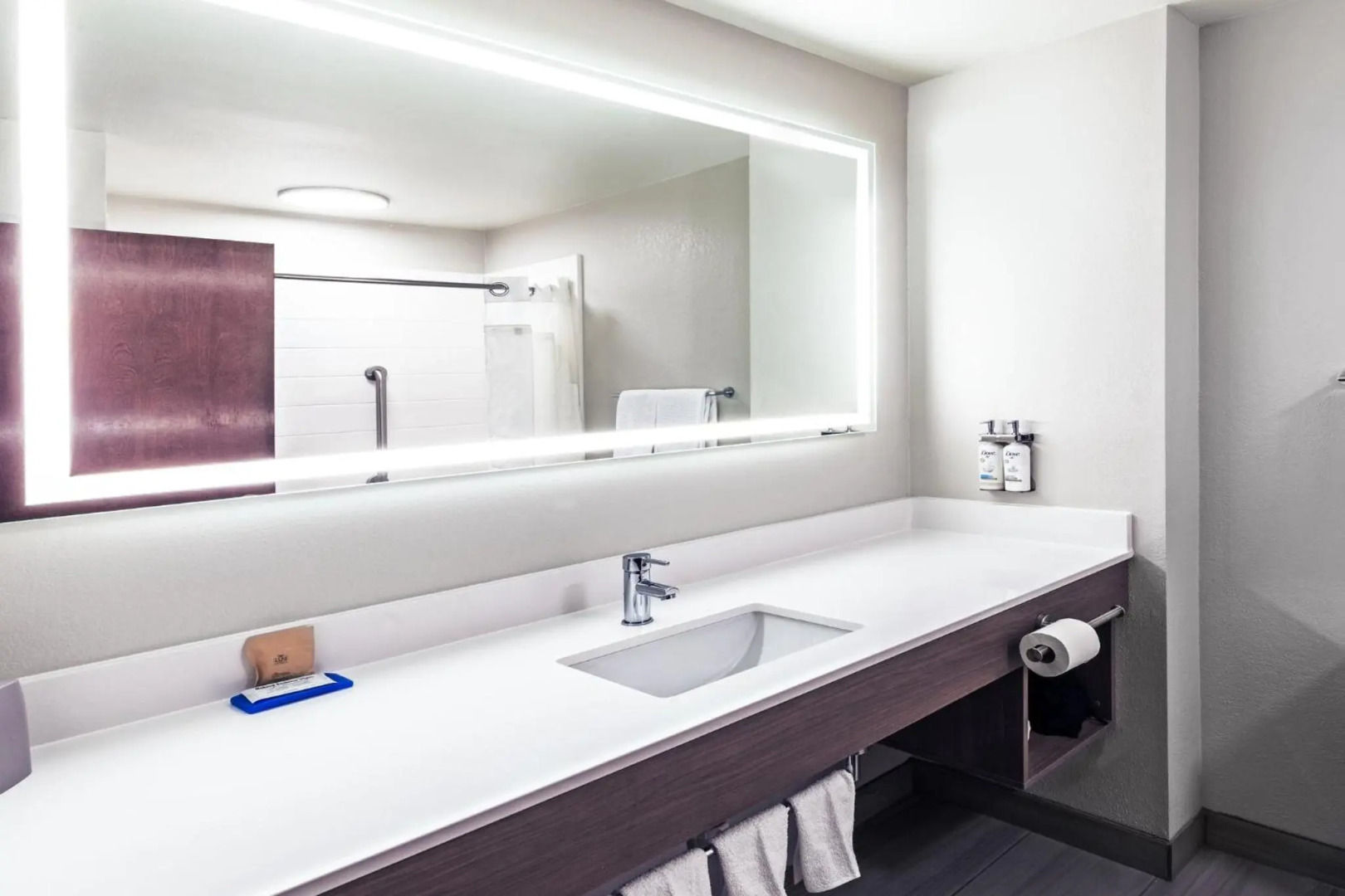 Holiday Inn Express Harvey-Marrero by IHG