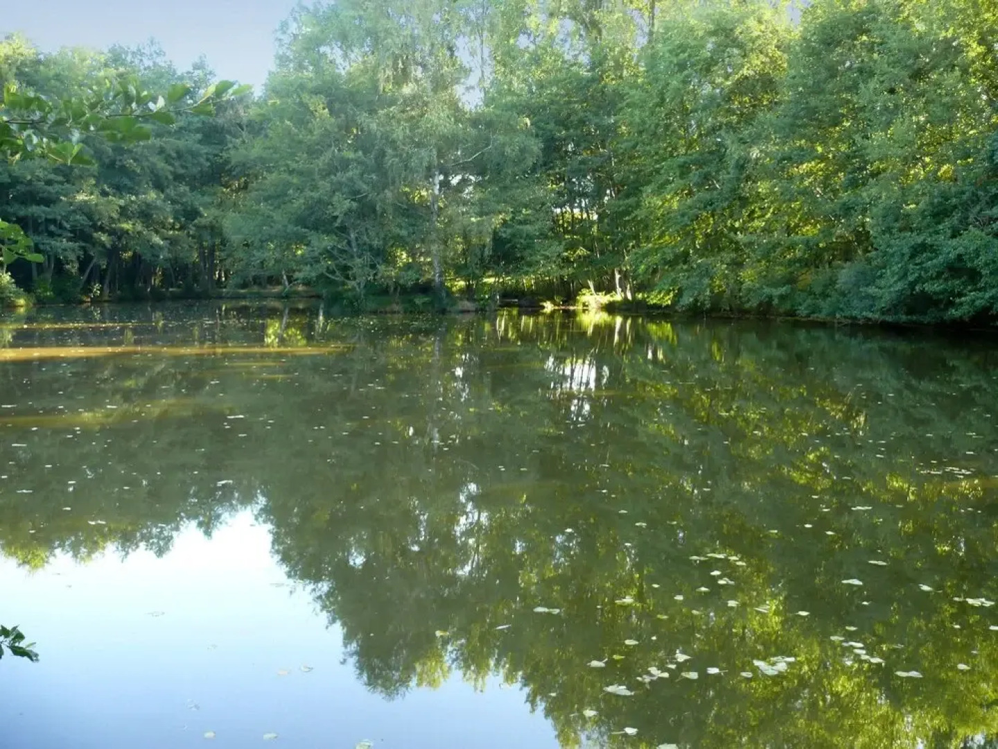 House With 2 Bedrooms in Lourdoueix Saint-pierre, With Wonderful Lake