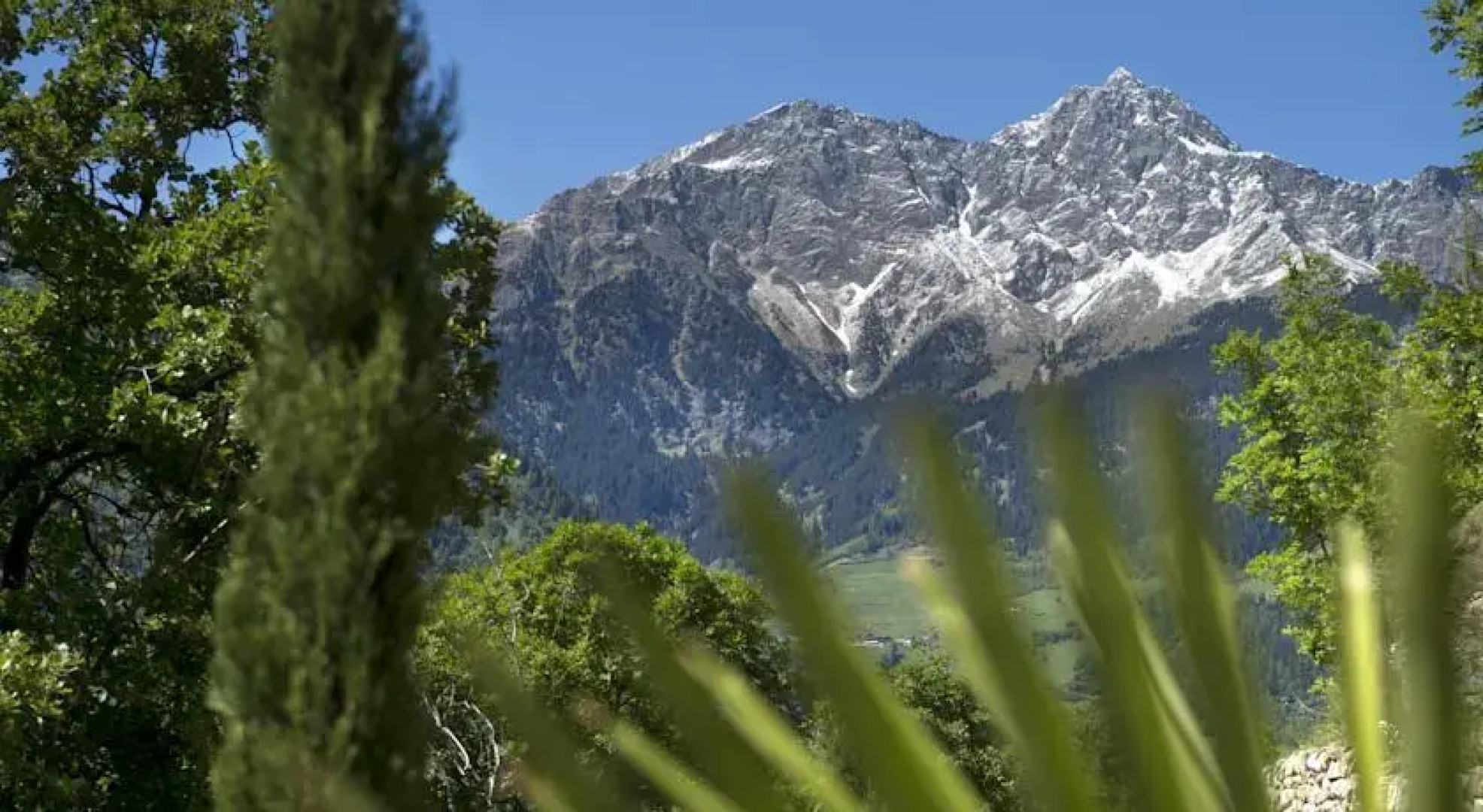 Appartments Schnitzer
