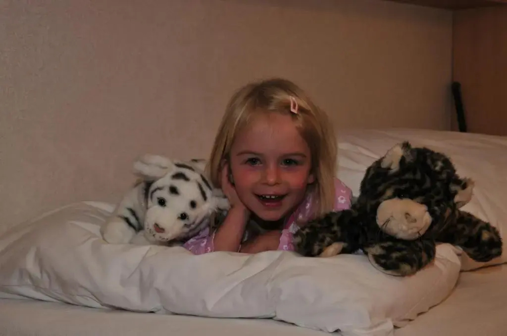 Residence Plan De Corones