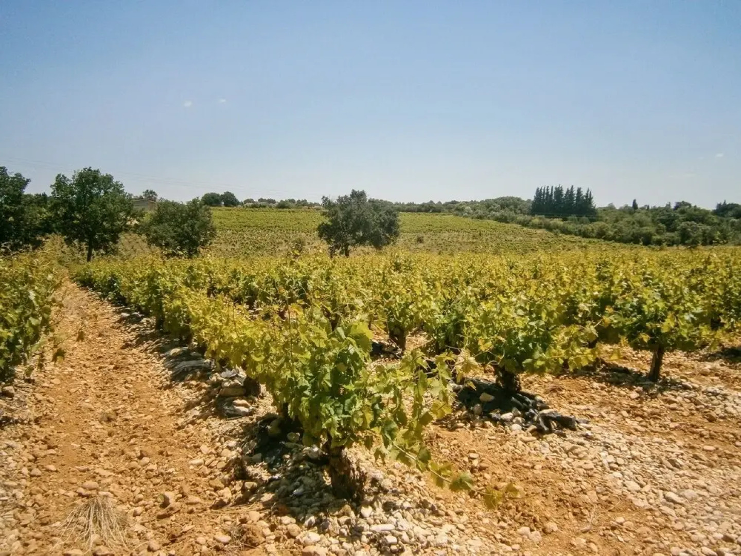 Near Montpellier, Apartment in Le Crès w/ air con & Wifi Minutes to Be