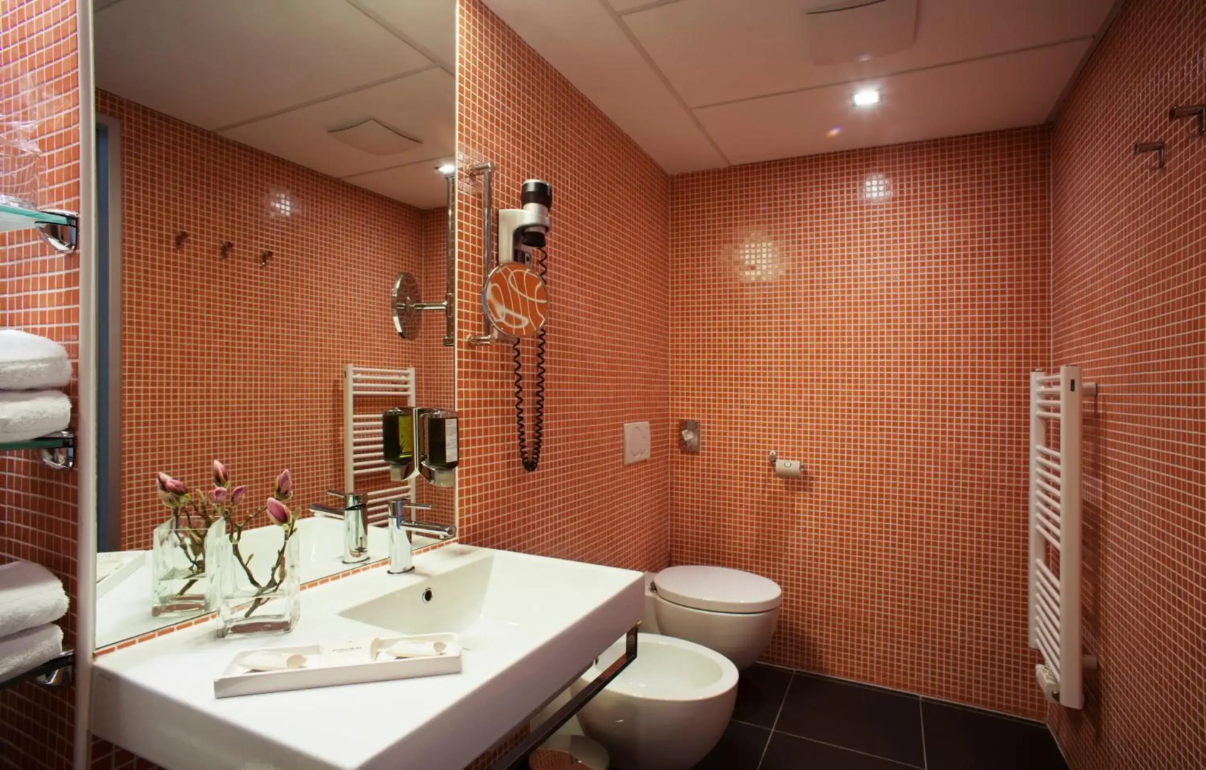 Thermana Park Laško