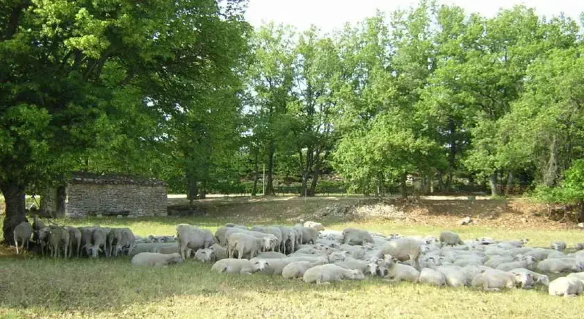 La Galinette