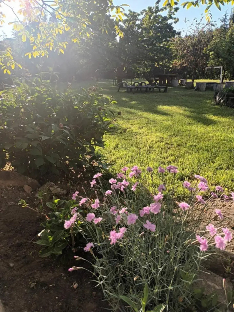 Tea Apartman Balatongyorok