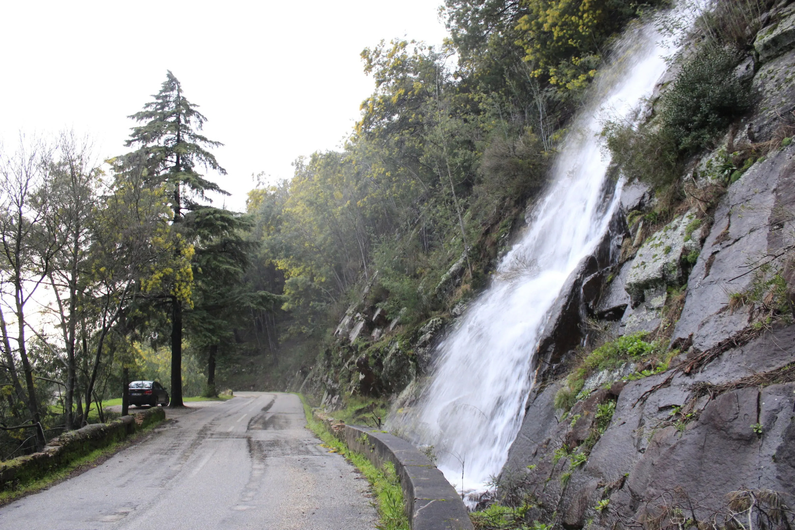 Residencial Martinho