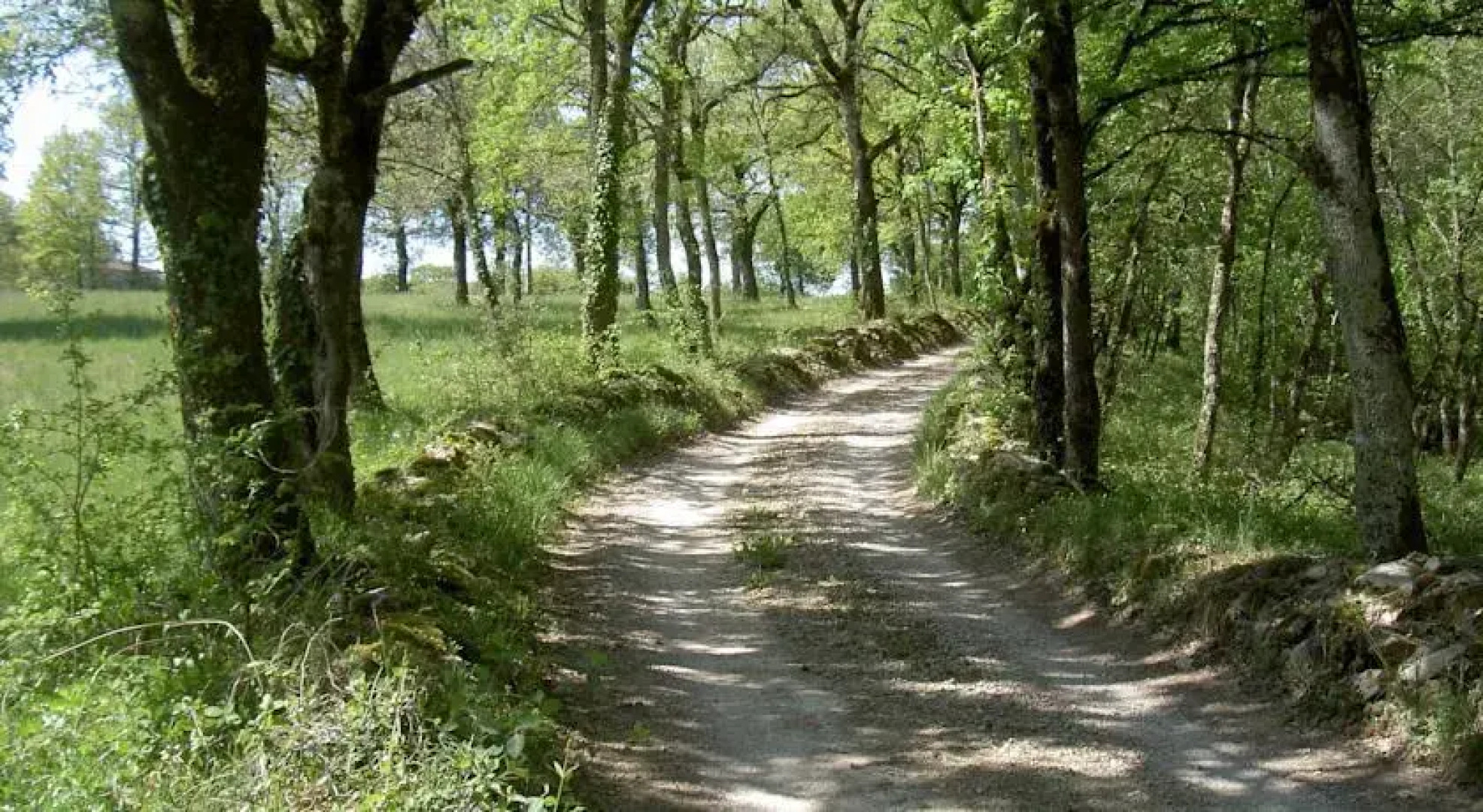 Location Saint Antonin