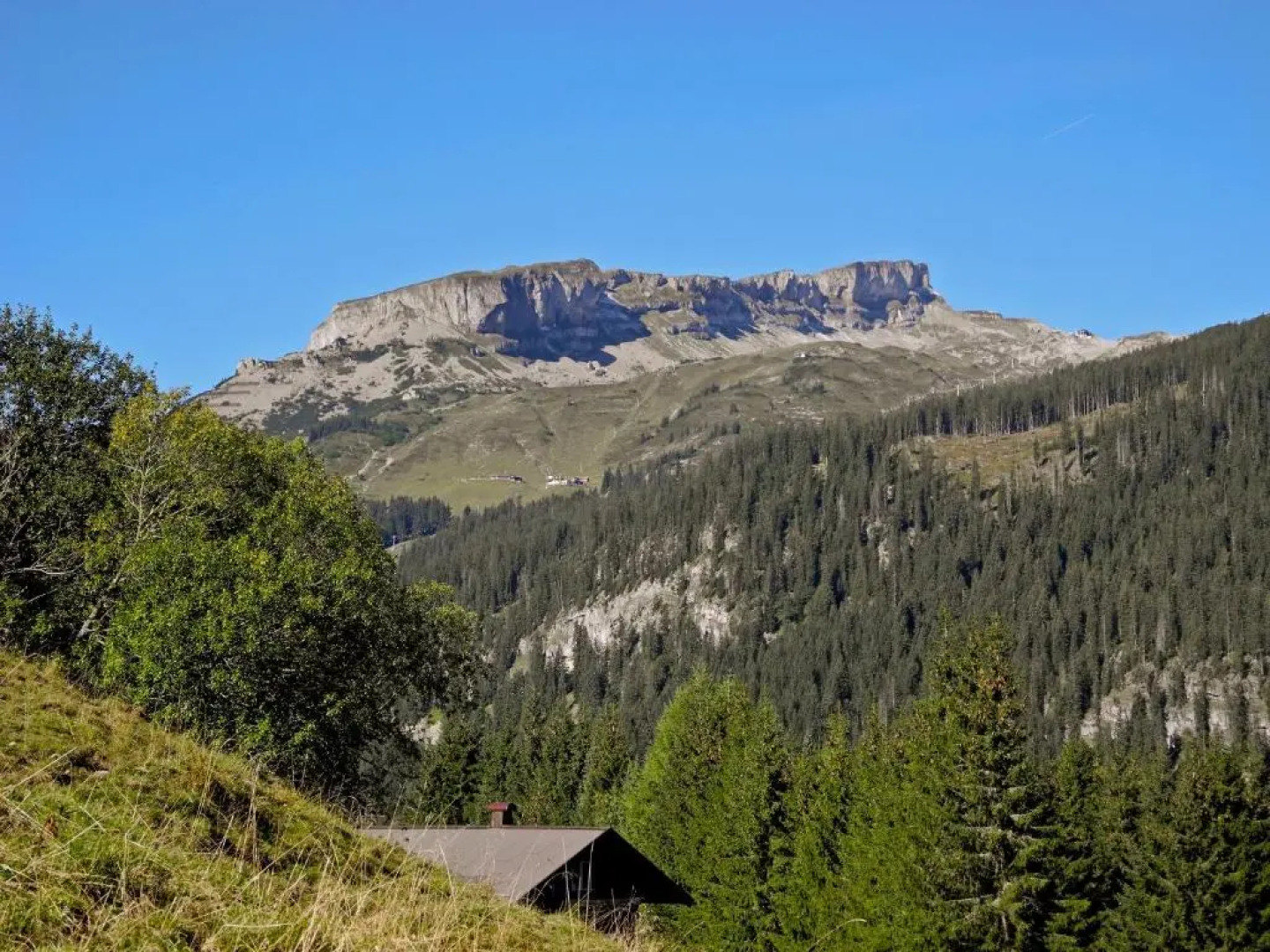 Hallers Genuss & Spa Hotel