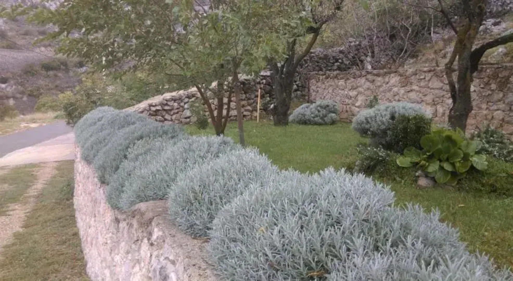 Holiday Home Rudelic