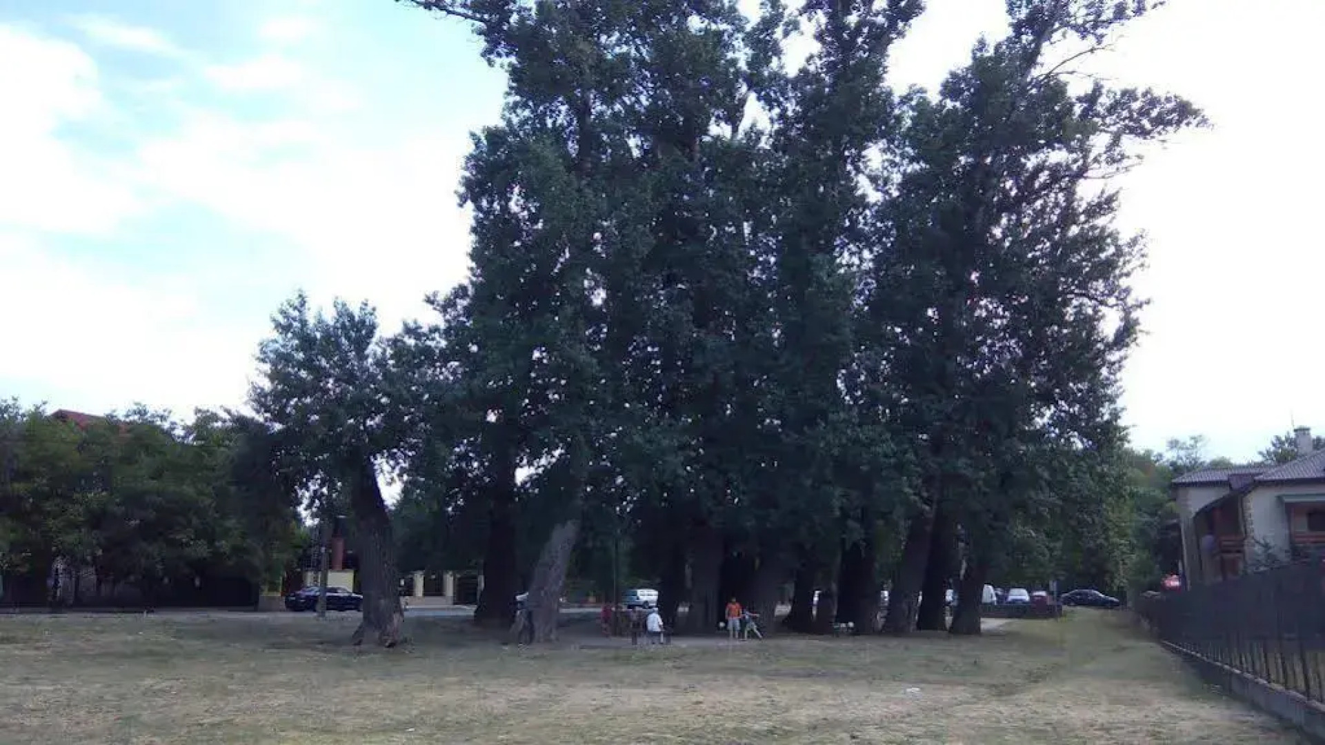 Pensiunea La Plopii Fara Sot