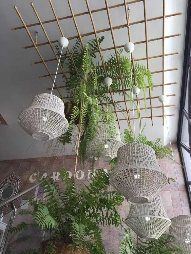 Hostal Residencia Cardona