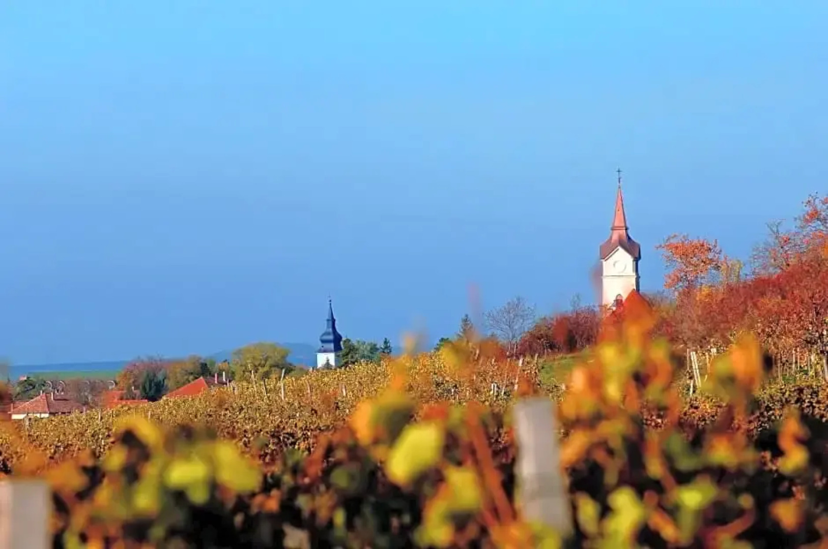 Oroszlános Borvendéglő és Borhotel