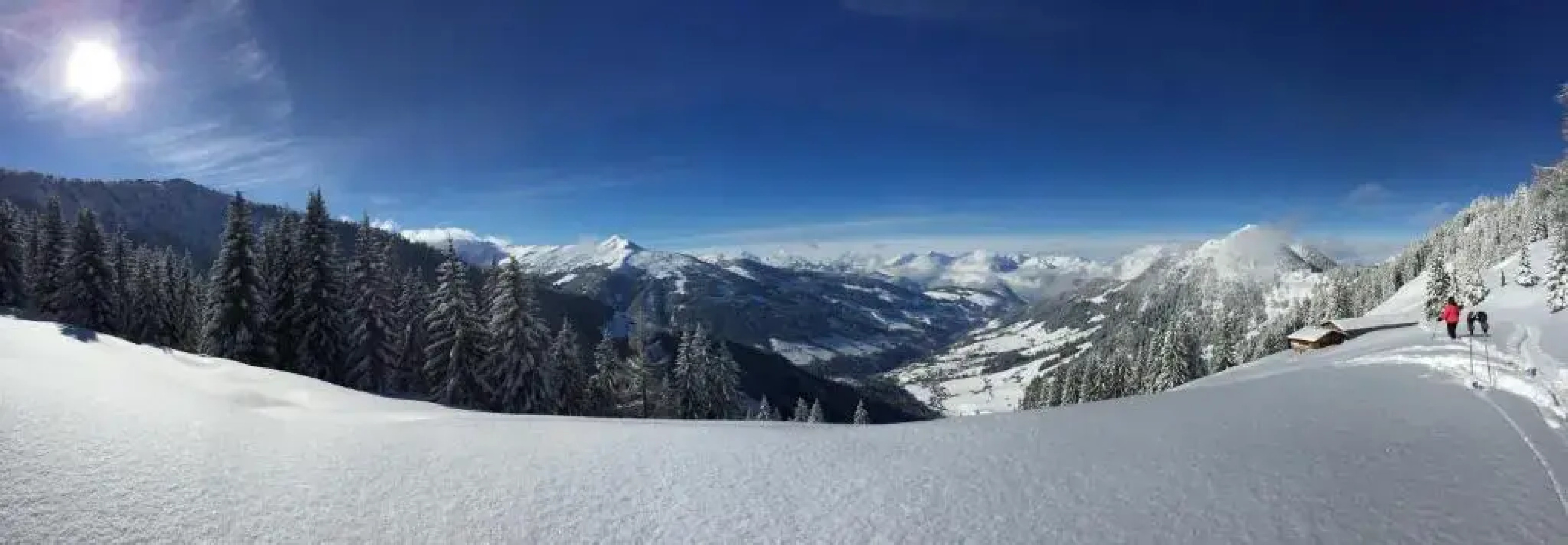 Aparthaus Alpbach Juwel