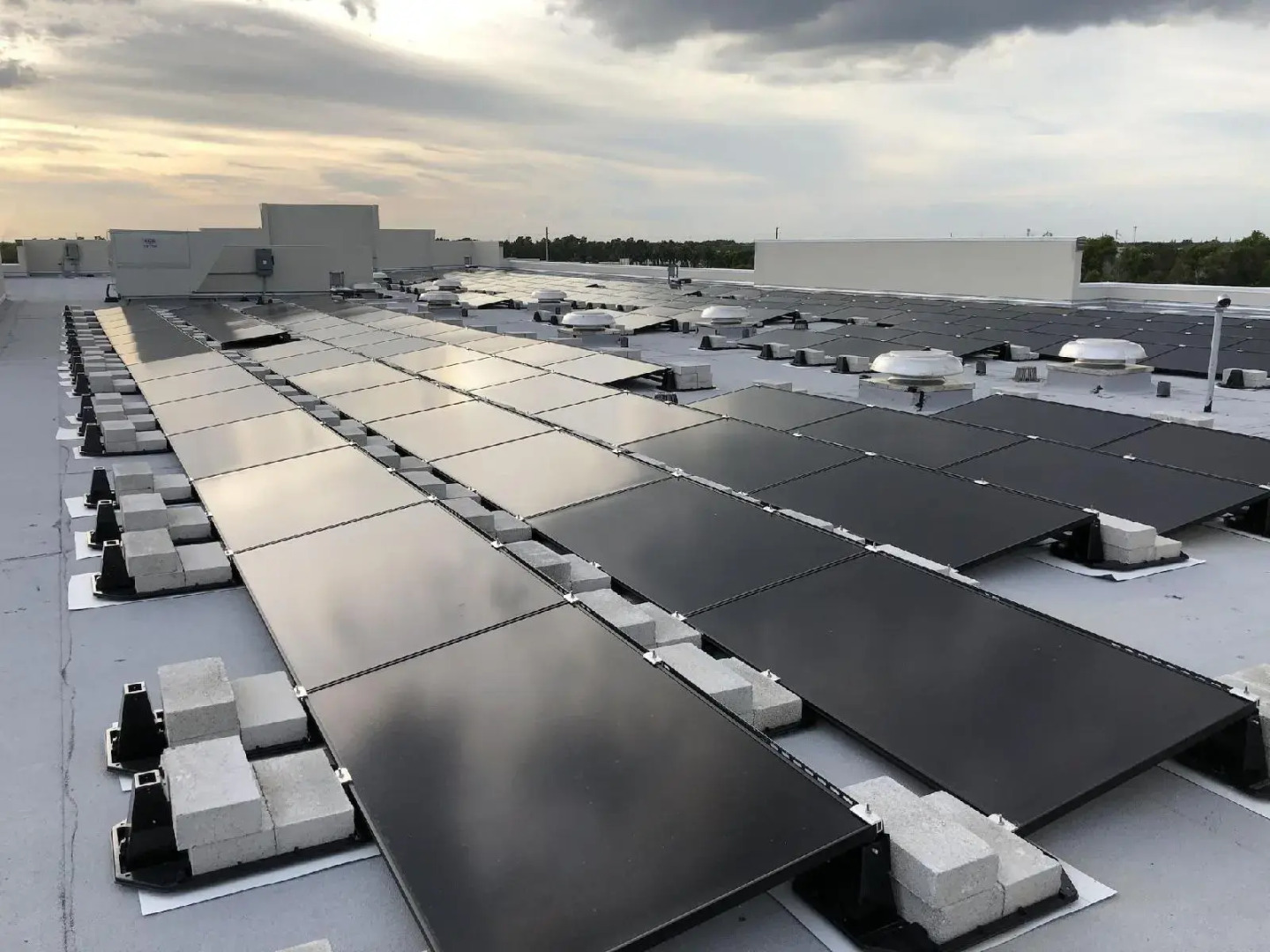 Comfort Suites Stuart - Hutchinson Island