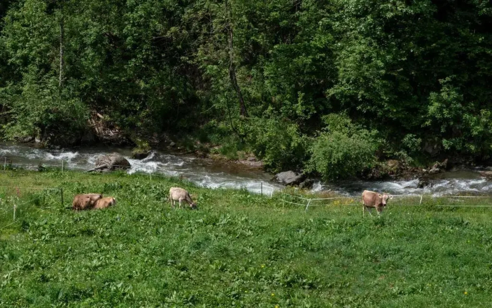 Hotel Chalet Genziana