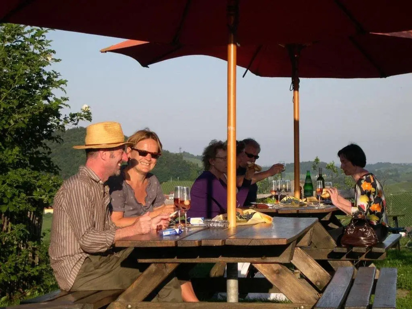 Kultur Weingut Kästenburg