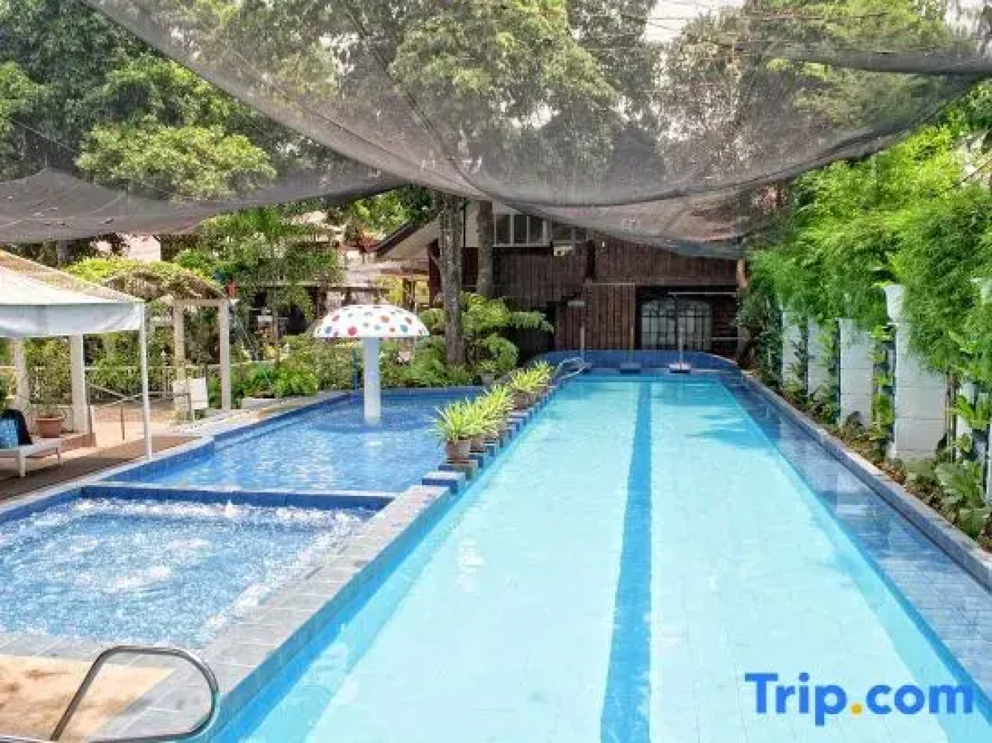 Luljettas Place Garden Suites