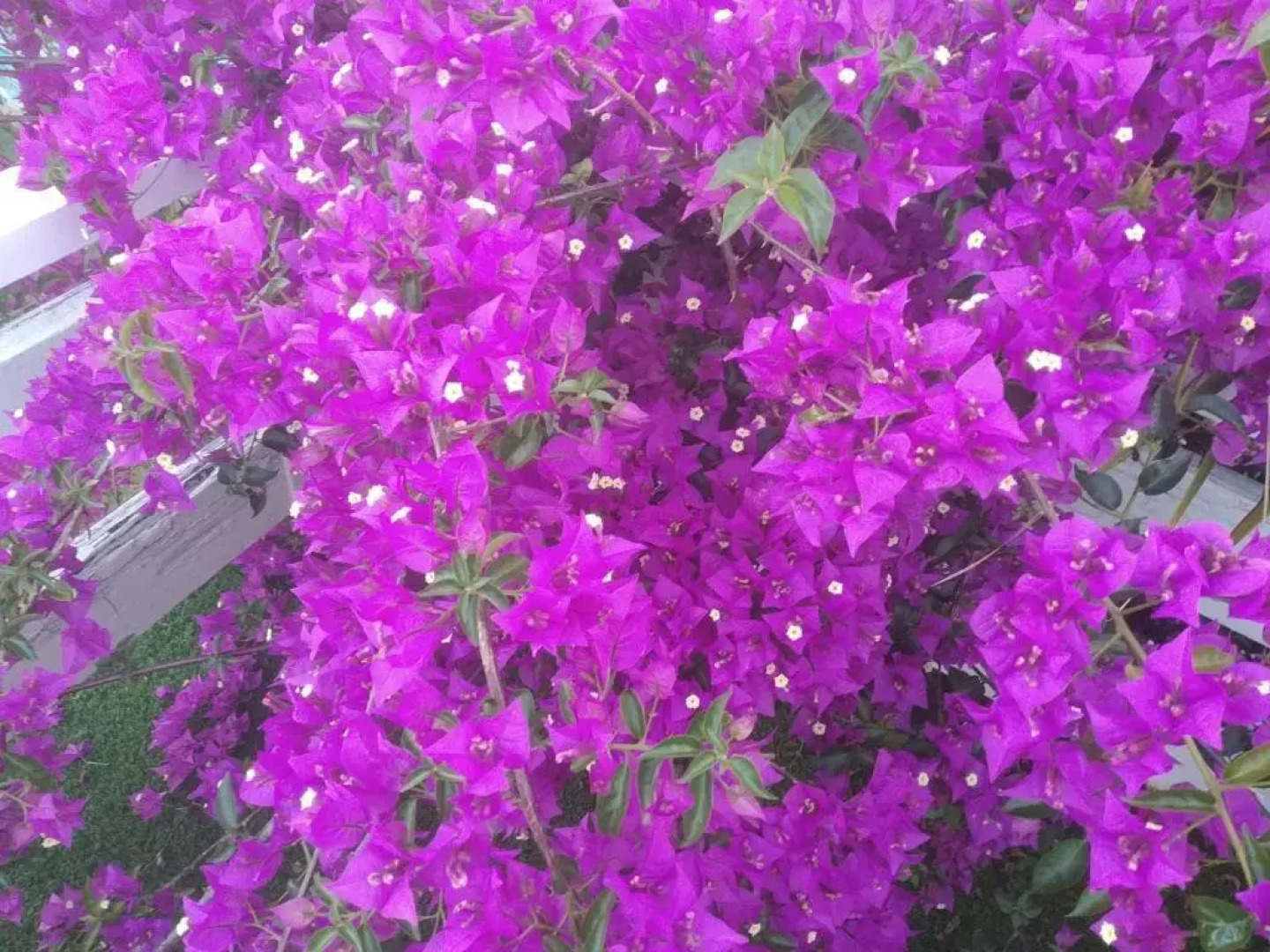 Apartamento con terraza y vistas al mar