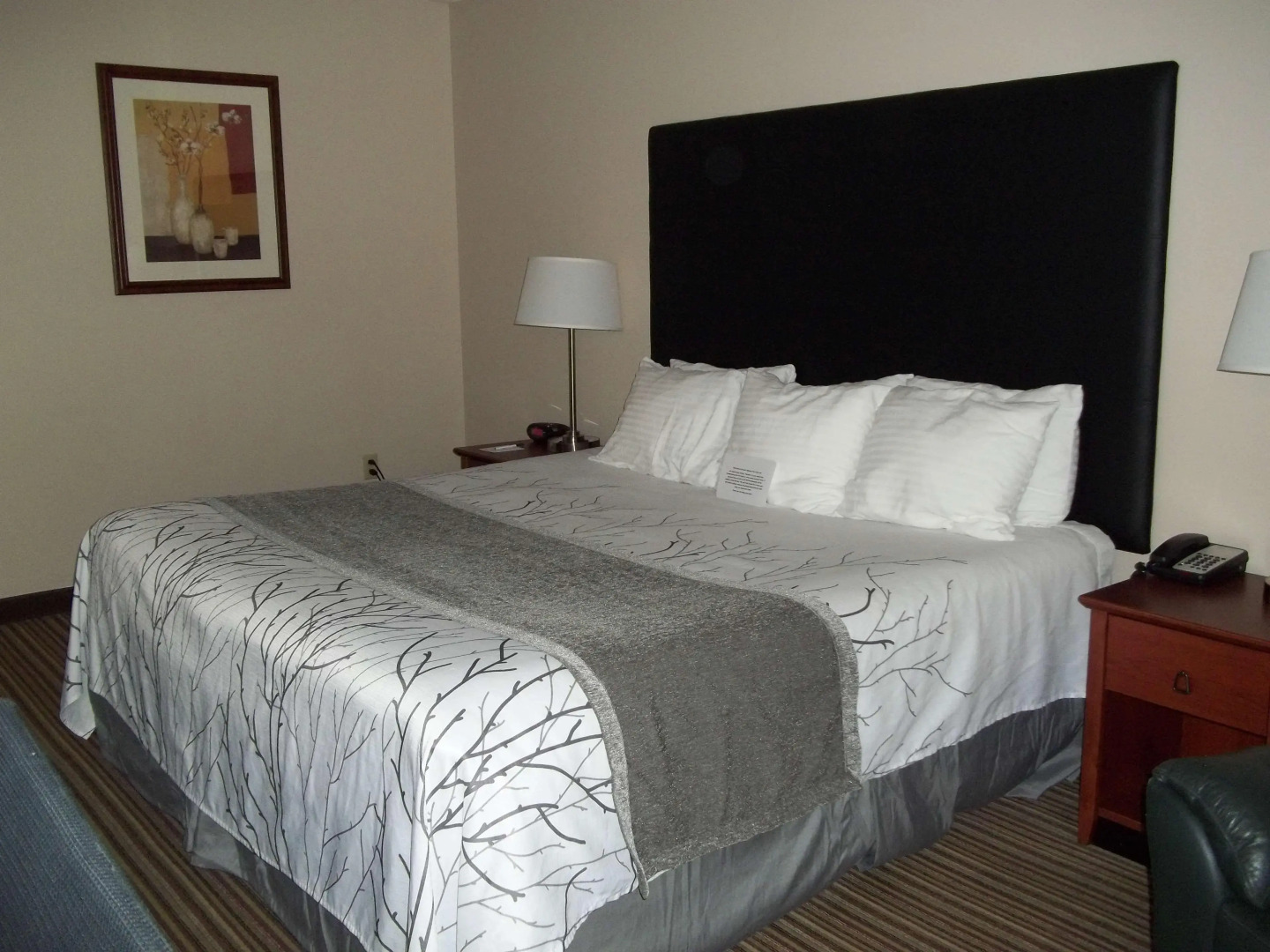 Best Western Park Oasis Inn