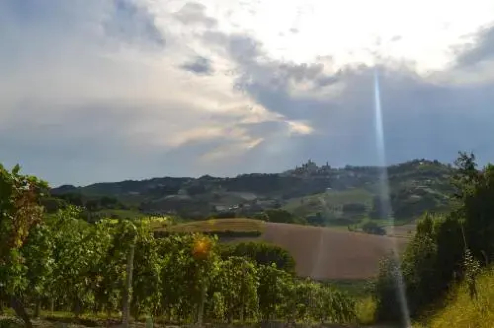 Tenuta La Pergola