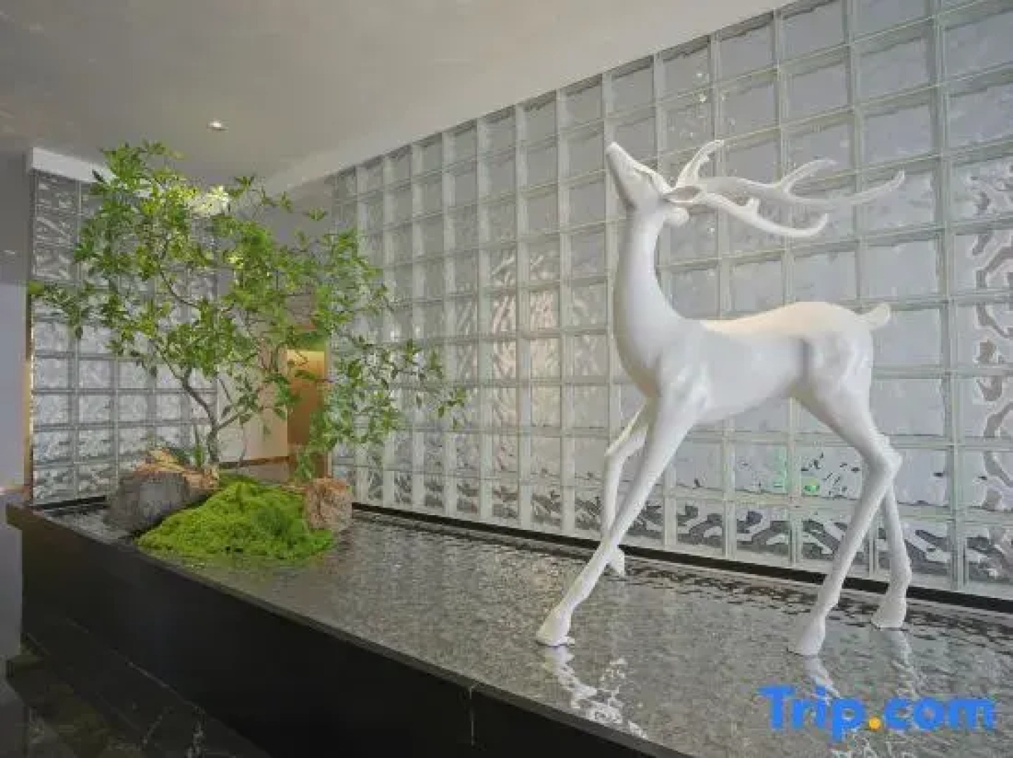 Qinhuangdao Xiadu Garden Hotel (People's Square)