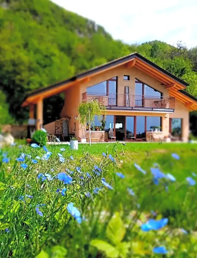 B&B Asinochevola