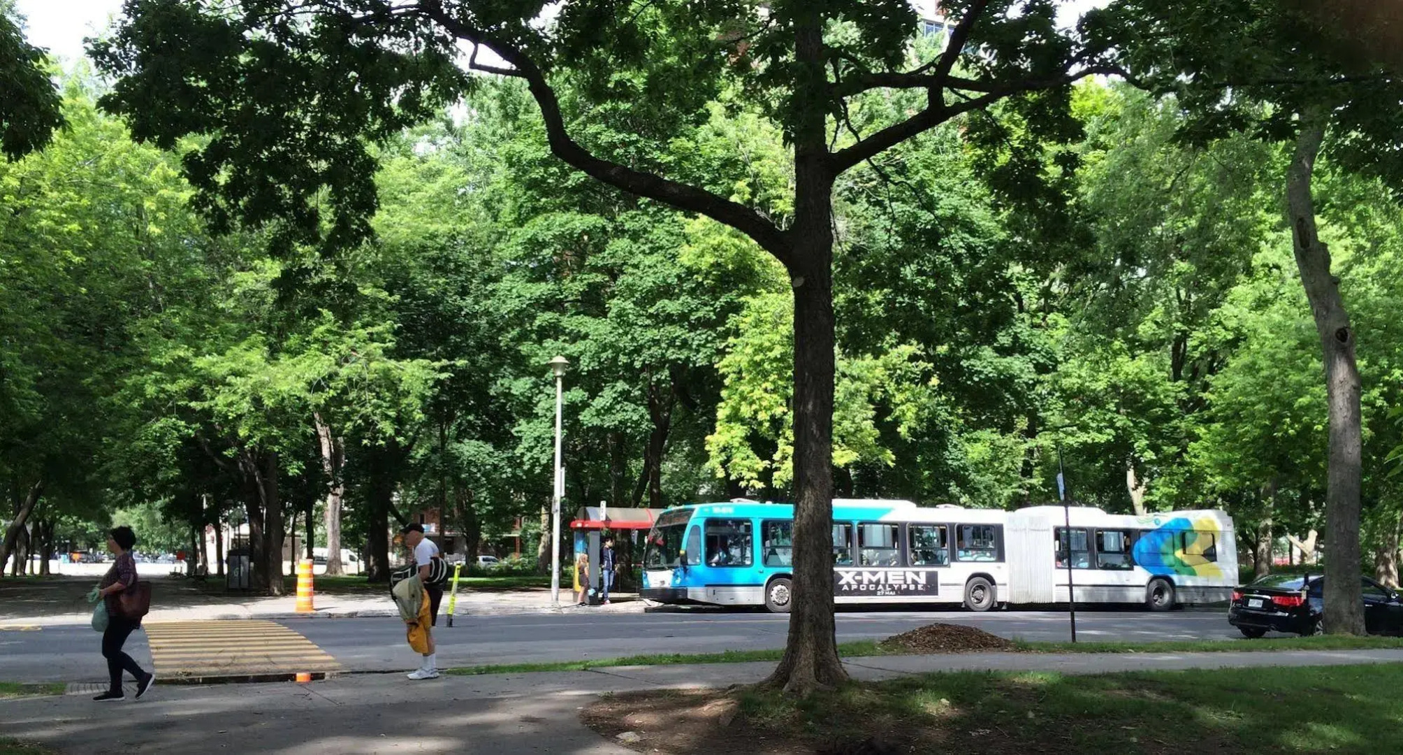 Loft Jacques-Cartier- Le Plateau Free Parking