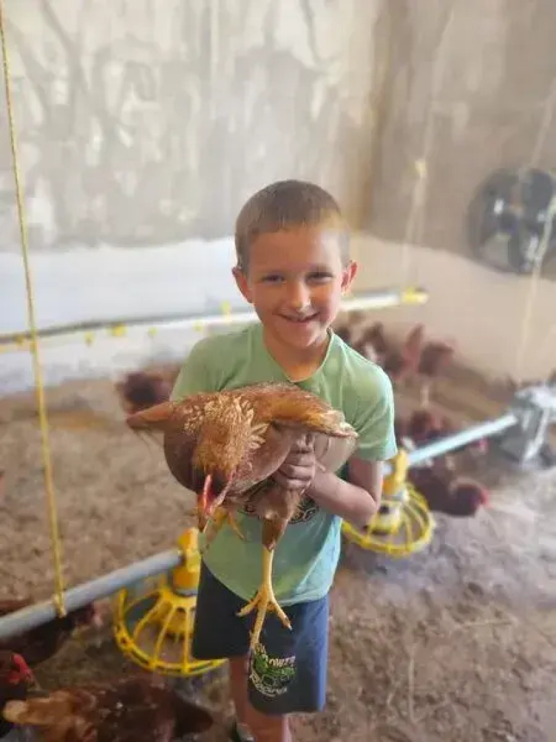 Ферма Лукино