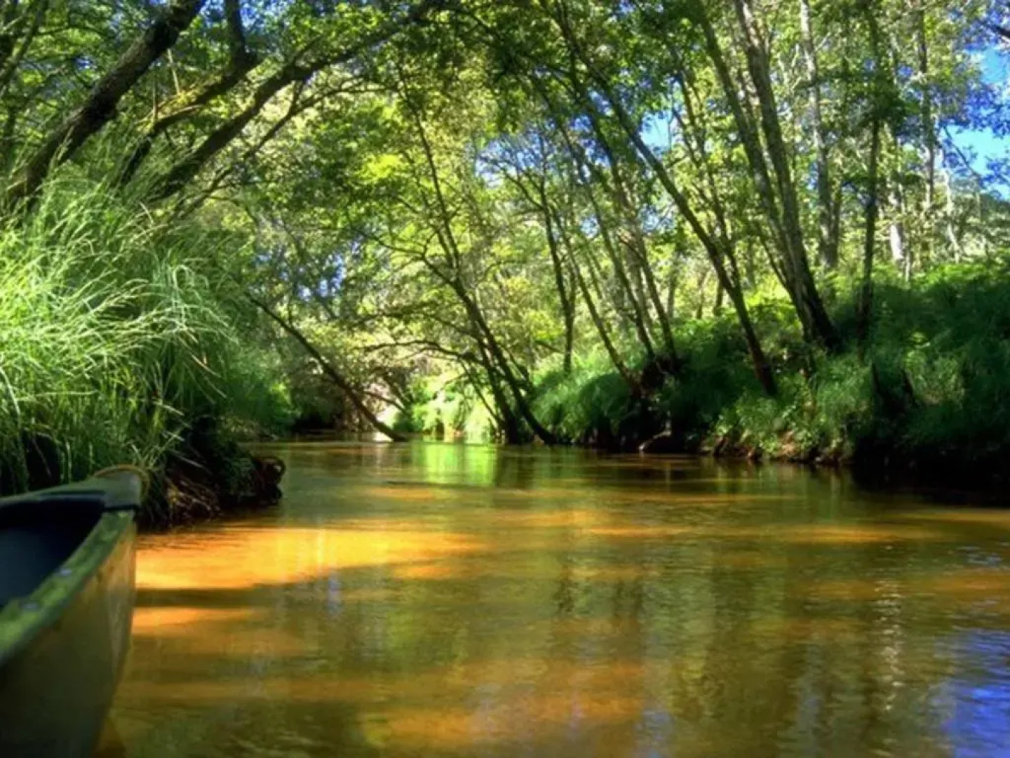 Appartement Moliets-et-Maa, 2 pièces, 4 personnes - FR-1-379-113