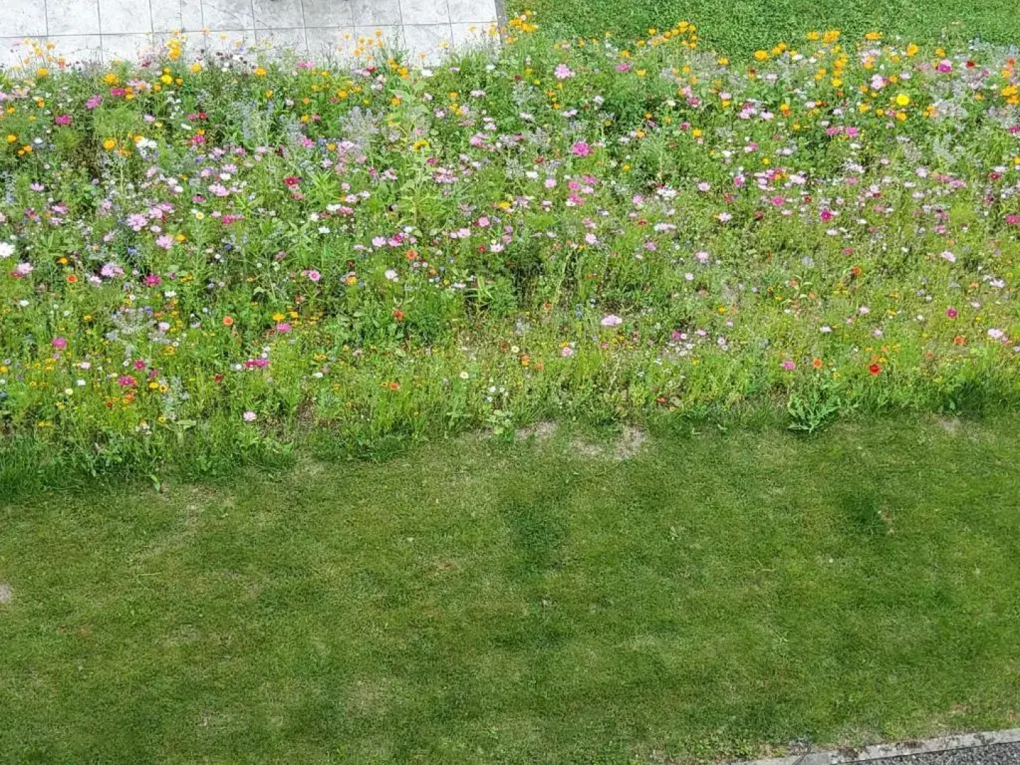 Seehotel Kell am See