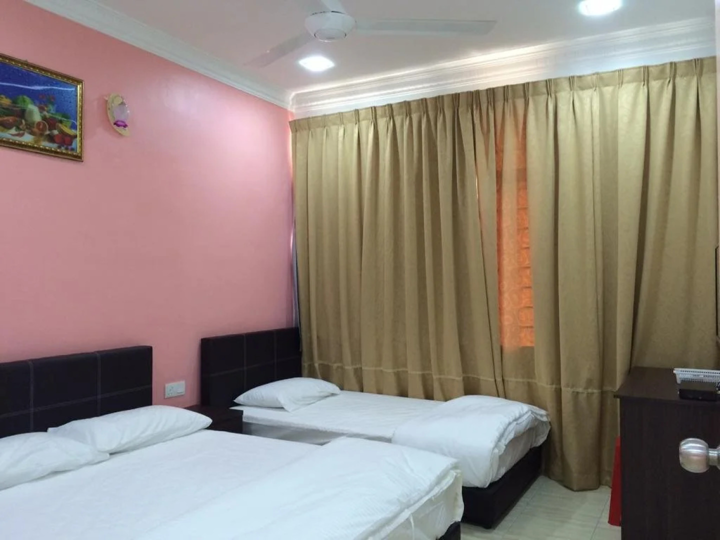 Lazy Bear Sleeping Place