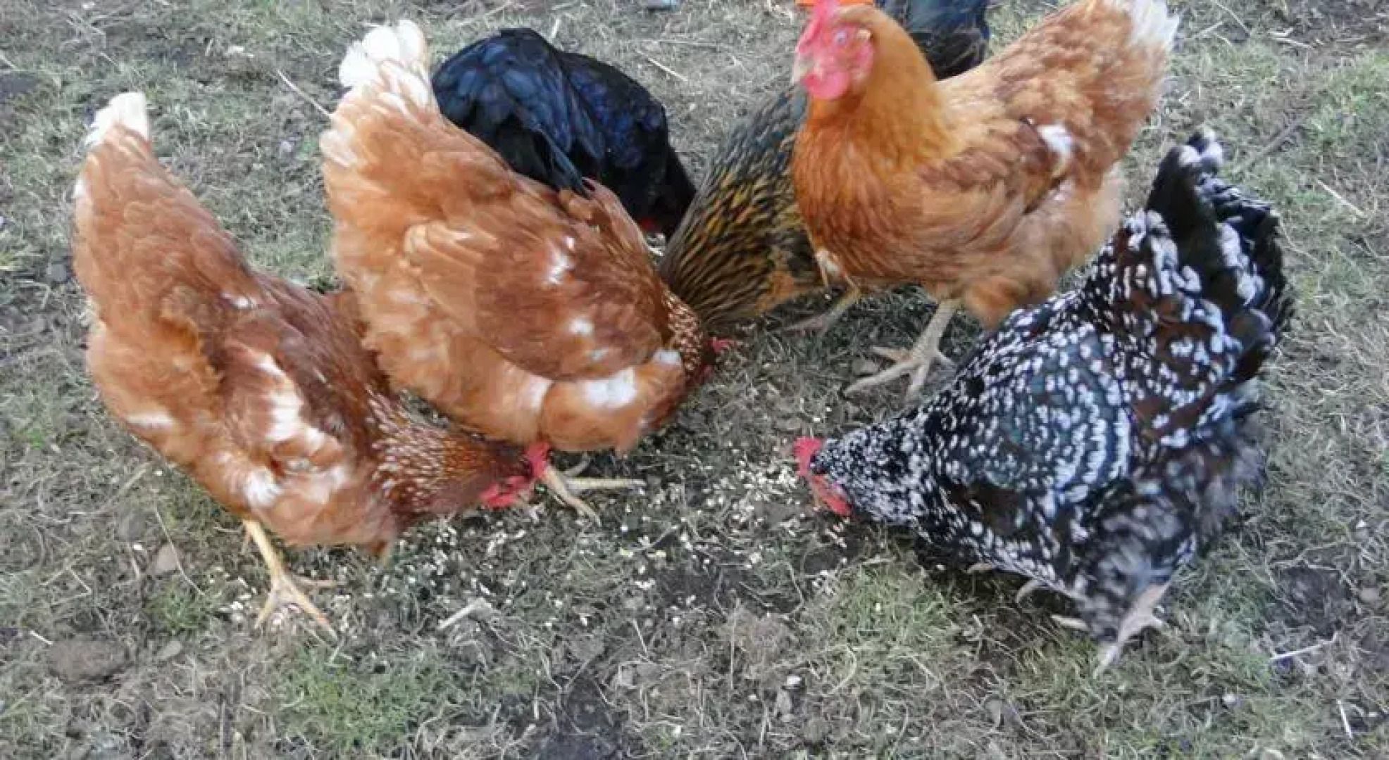 Ceol Na Mara Bed and Breakfast