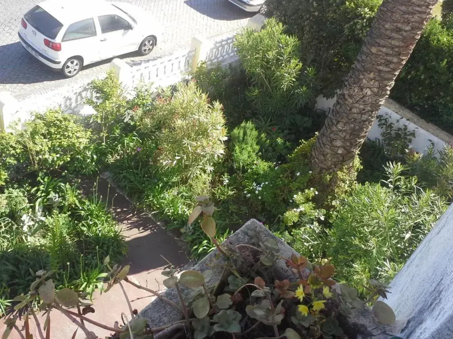 Casa do Jardim (Garden House)