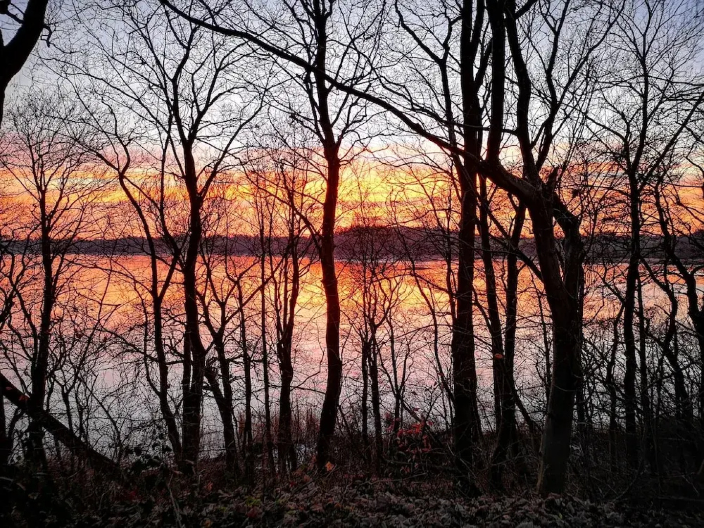 Selker Noor Apartments UG