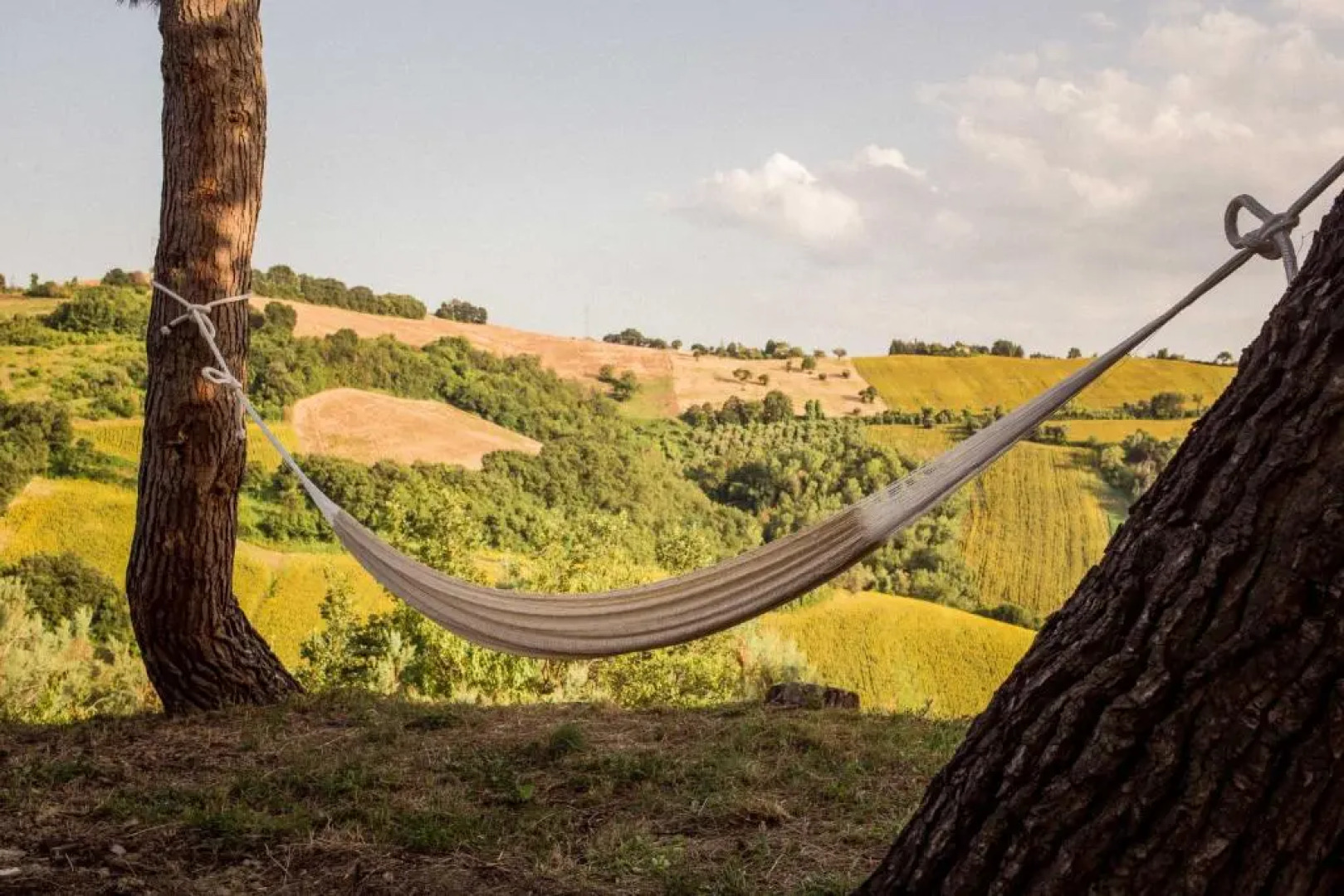 Al Poggio dei 4 Borghi