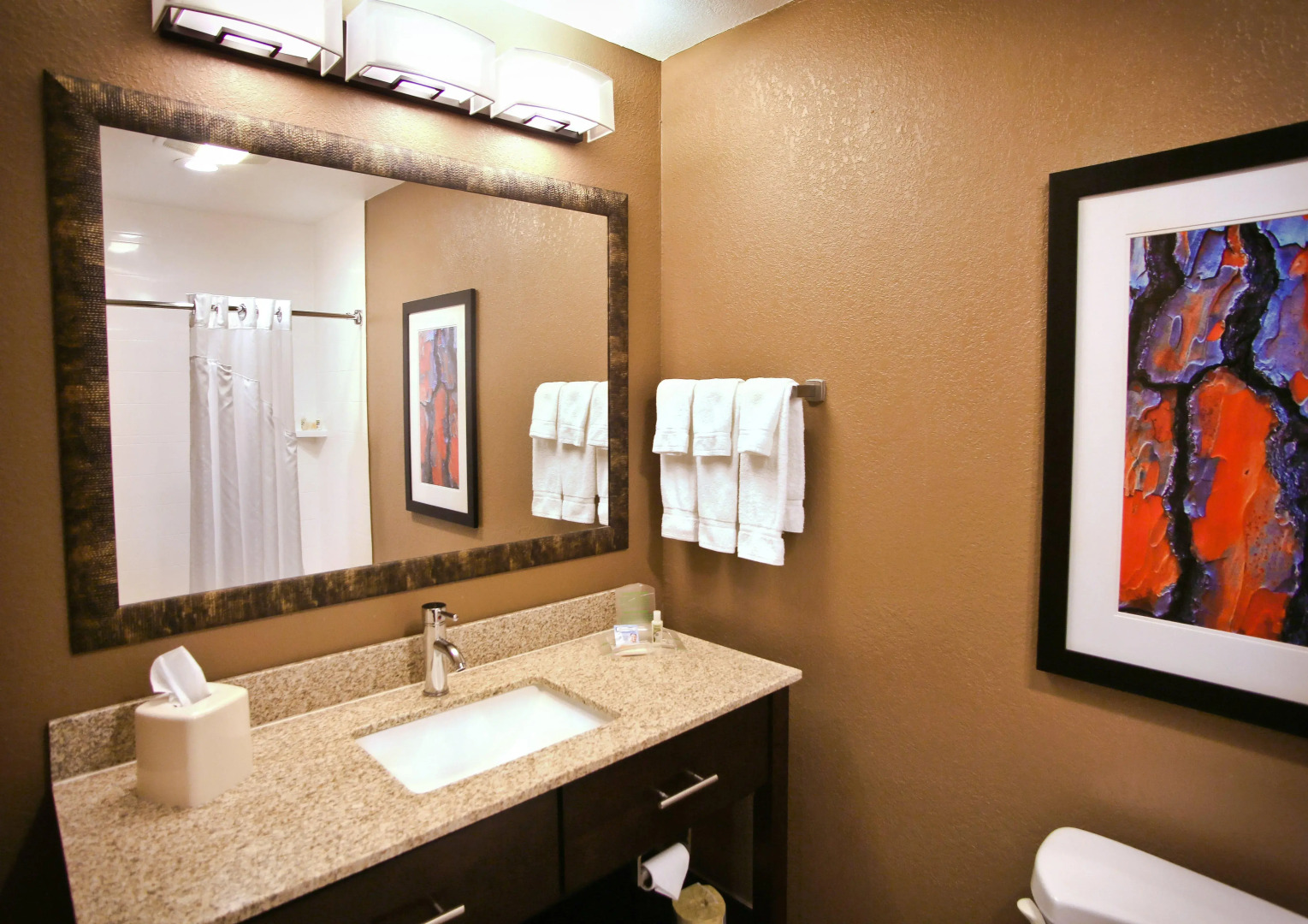 Holiday Inn Hotel & Suites LA CROSSE