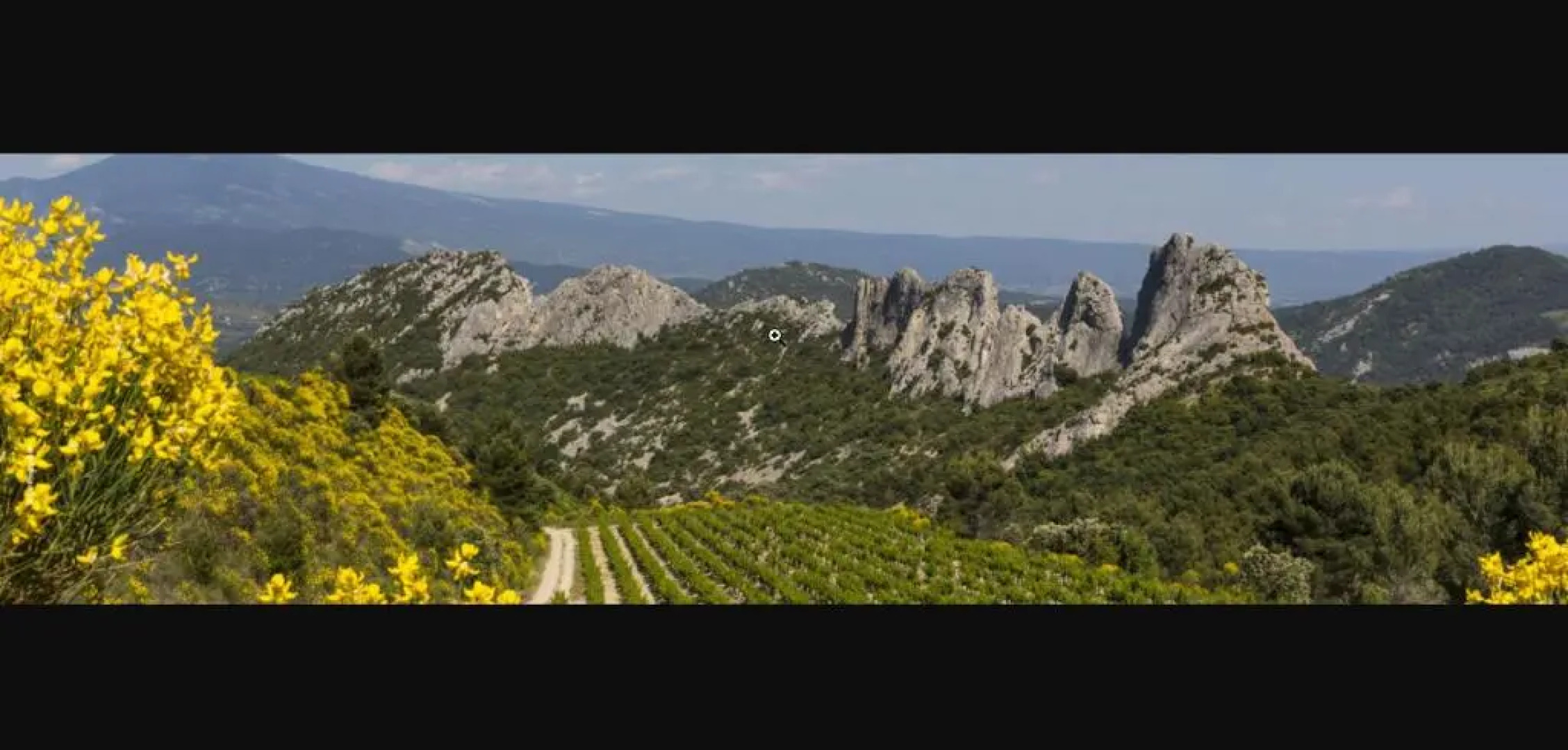 Le Gite Au Calme D'aubignan 4 Personnes, 1 Chambre
