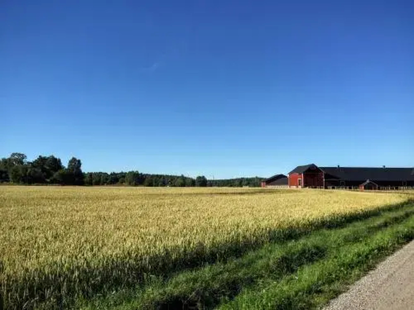 Pensionat Solgården