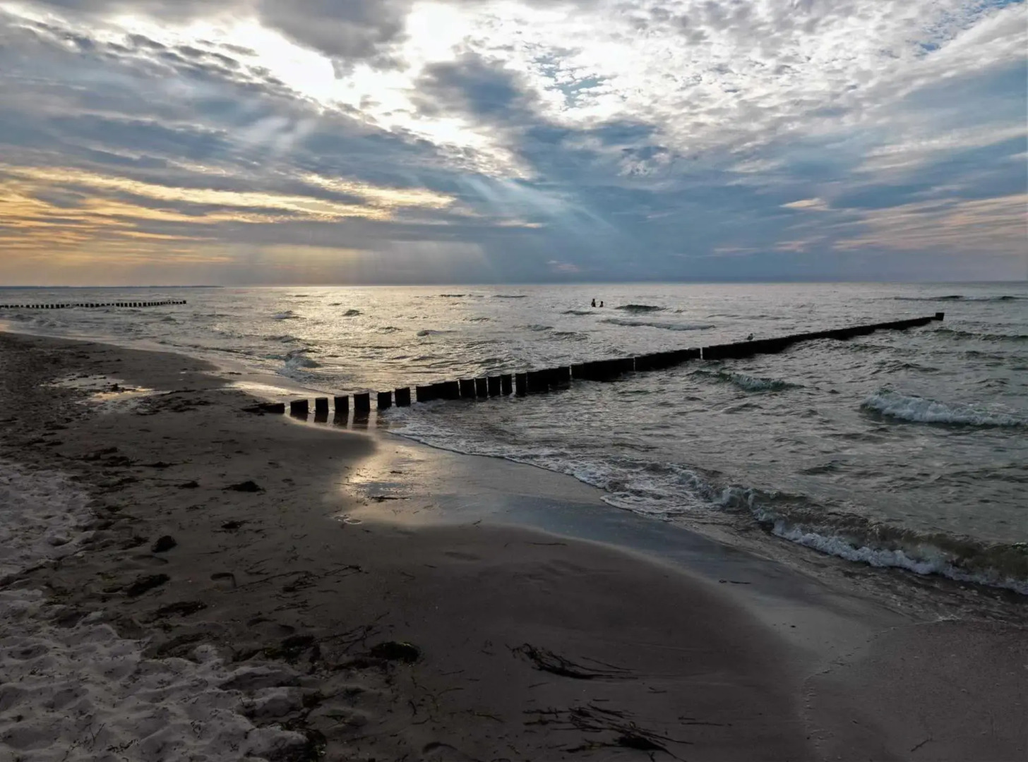 Ostsee Residenz Meeresblick Strandläufer