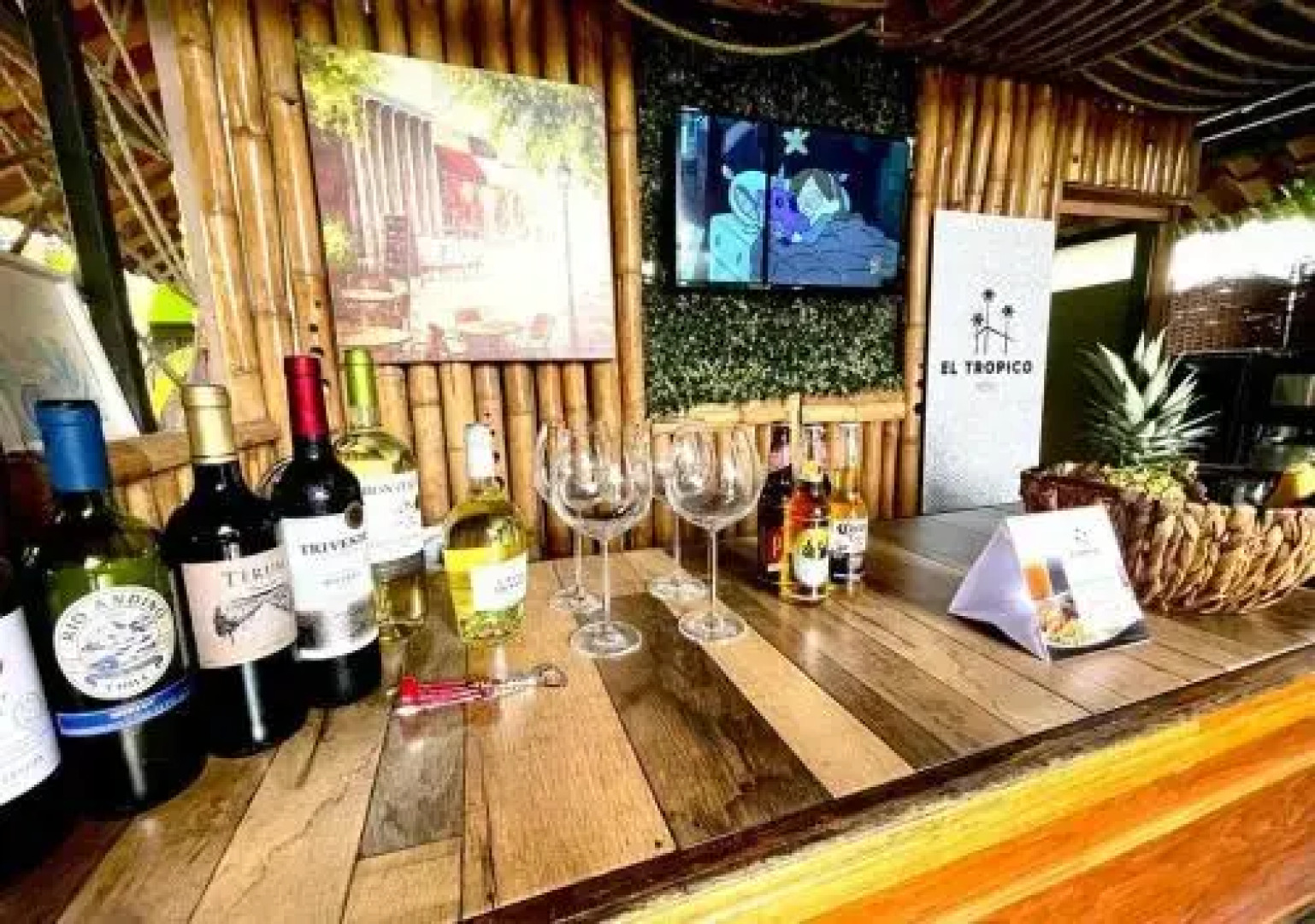 Hotel y Cabinas del Trópico