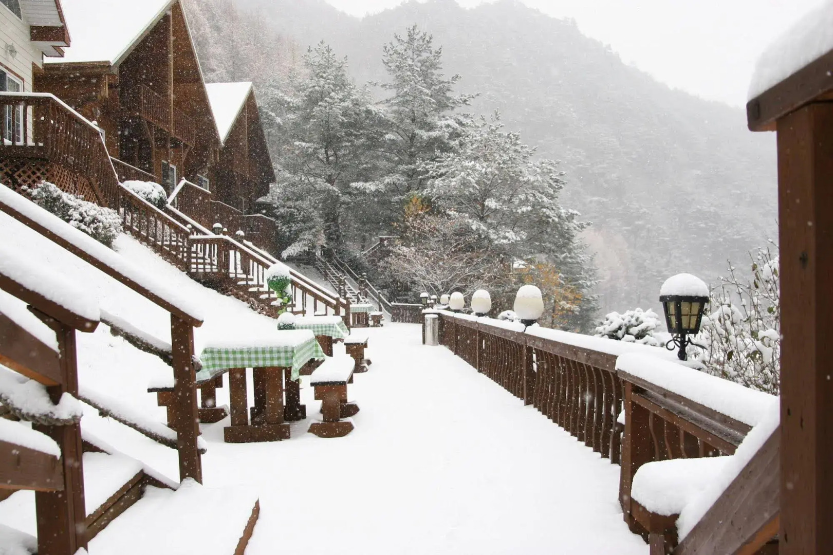 Spring Summer Fall Winter Pension