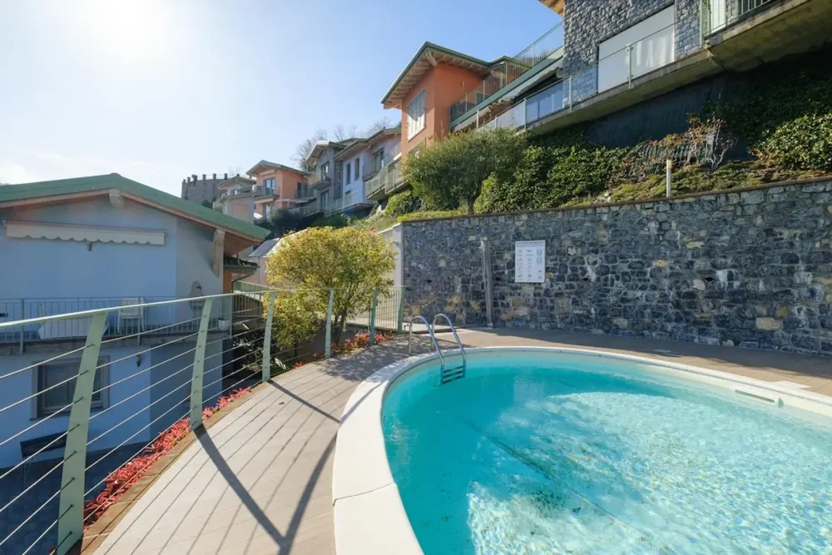 Artemisia in Parzanica