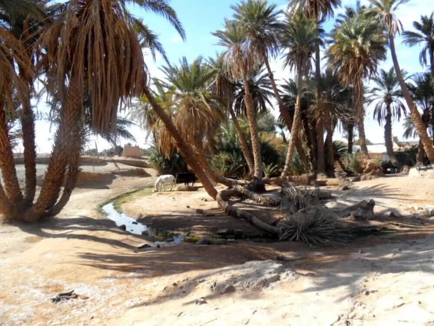 Bivouac La Dune Blanche