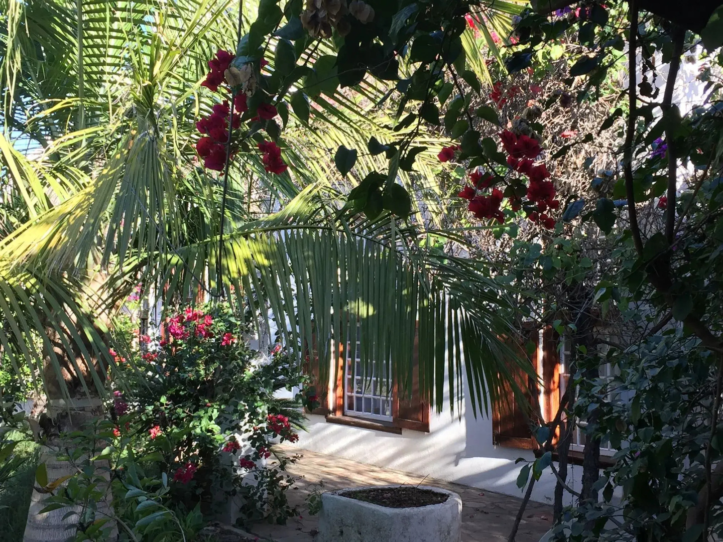 Wittedrift Manor House