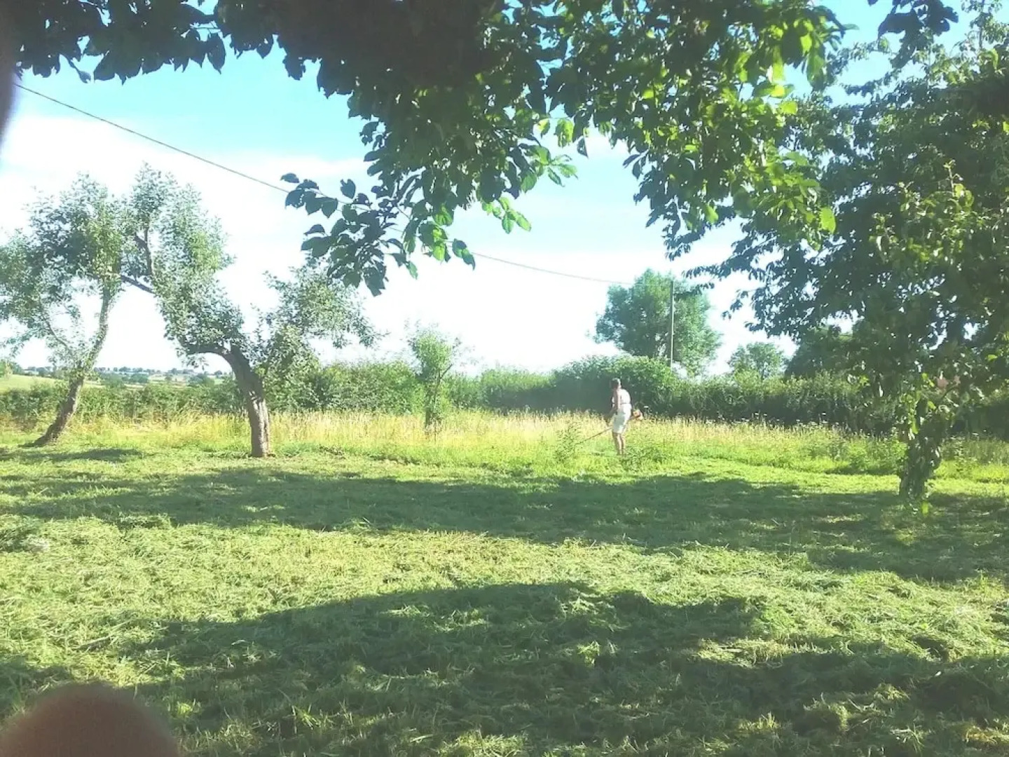 House With 4 Bedrooms in Vauban, With Enclosed Garden