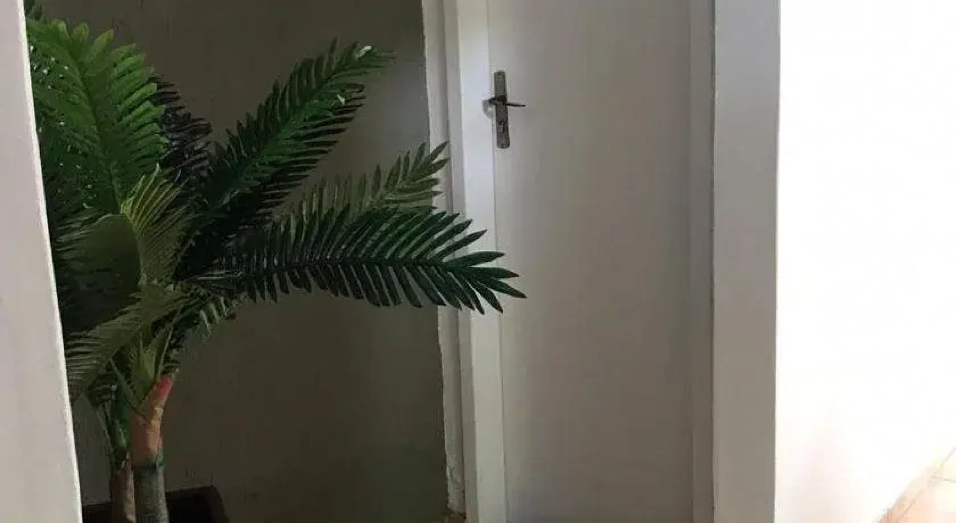 Suítes do Cabo - Estrela do Mar